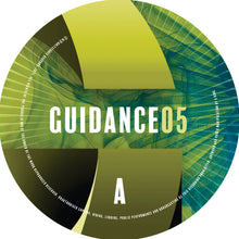 Load image into Gallery viewer, Indigo Virus - Two Birds EP - Guidance Records - GUIDANCE05SE - 12" Clear and Green Marker Colour Vinyl Version