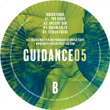 Load image into Gallery viewer, Indigo Virus - Two Birds EP - Guidance Records - GUIDANCE05SE - 12" Clear and Green Marker Colour Vinyl Version