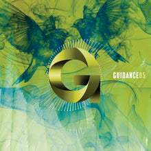 Load image into Gallery viewer, Indigo Virus - Two Birds EP - Guidance Records - GUIDANCE05SE - 12" Clear and Green Marker Colour Vinyl Version
