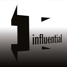 Load image into Gallery viewer, Staunch VIP - The Warning EP - Influential Records - INFL42 - 12" Black Vinyl