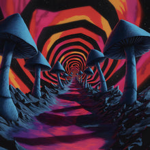 Load image into Gallery viewer, Yo Speed - Mycelium Vol.1 [printed sleeve] - Infected Shrooms - ISH001 - 12" Vinyl - Electro - Spanish Import