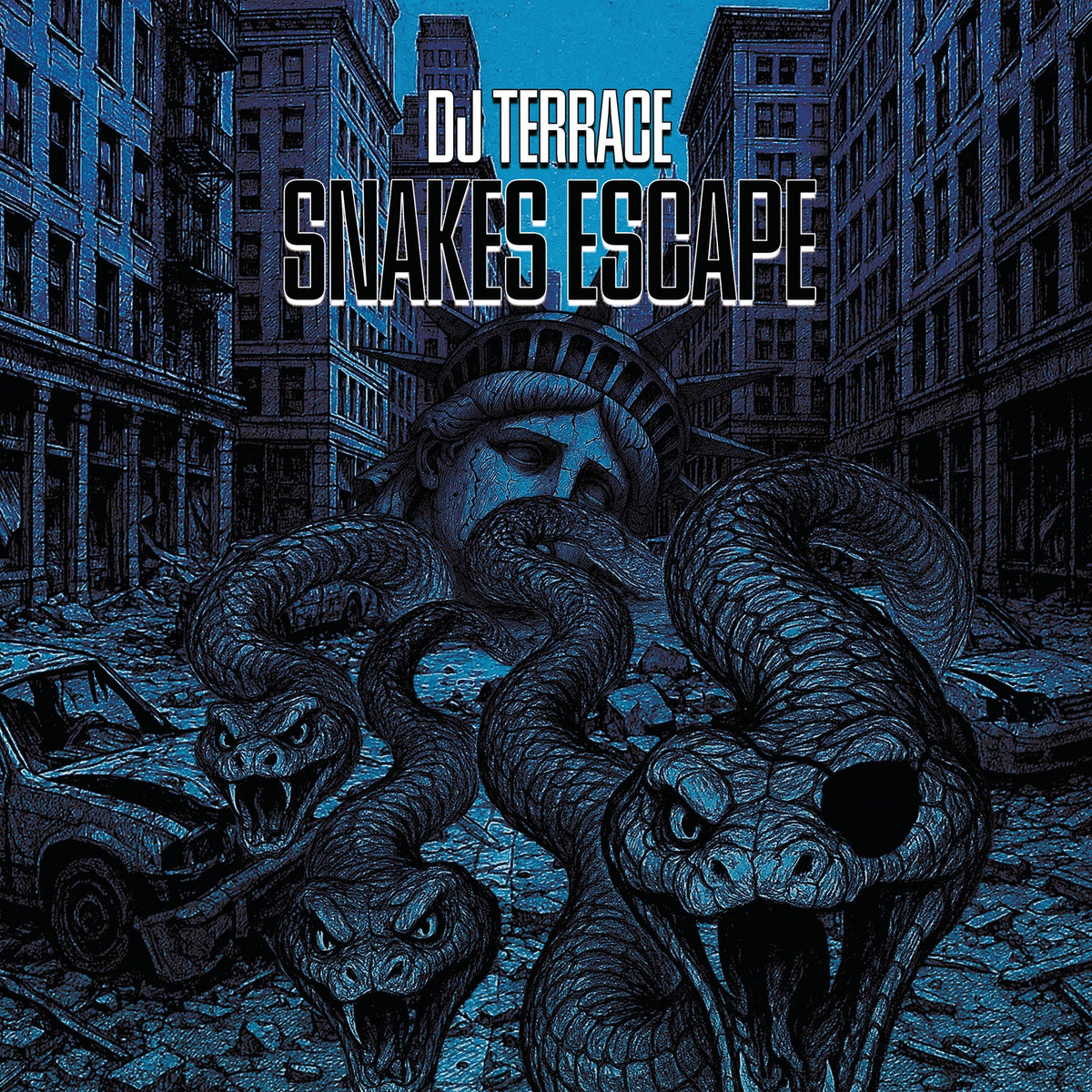 DJ Terrace - Snakes Escape - KF334SE front sleeve