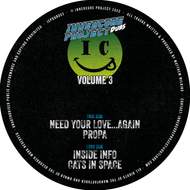 InnerCore Project Dubs Vol 3 - Need Your Love...Again - KICPDub003 -12
