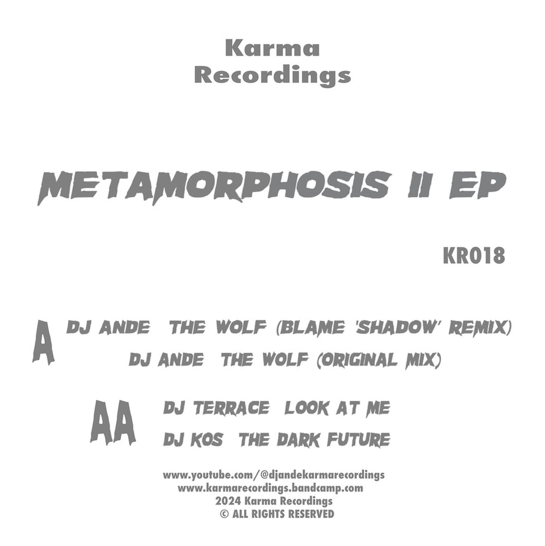 DJ Ande / Dj Kos / Blame Shadow Remix - Metamorphosis 2 EP  - Karma - 12