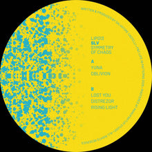 Load image into Gallery viewer, SLV - Symmetry of Chaos - Life In Patterns - LIP013 - 12&quot; Vinyl - Techno - French Import