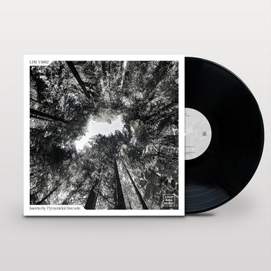 Pyramidal Decode - Loopaina - Isteria [printed sleeve] - LPR-V002 - 12