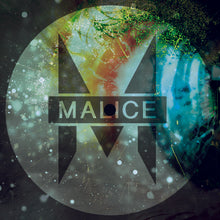 Load image into Gallery viewer, Wicked XXX - Boom Goes The Bass EP  - 12&quot;  Vinyl - MALICE12 - warning - GABBER..