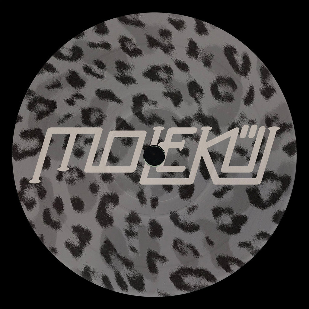 FANK & No Valentia - Wavecycle EP - back sleeve