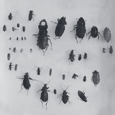 Lewis Fautzi - Mord - You Can't Step On the Same Risk Twice EP - MORD089 - 12