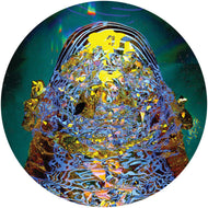 Tim Reaper & Yorobi - Nostalgia Dealers / Synodical Return [incl. insert] - on my own terms / time - OMOTT002 - Dutch Import
