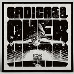 Radicall - Overhead LP - Parallax Recordings - PARA022 - 12 x 2" Black Vinyl