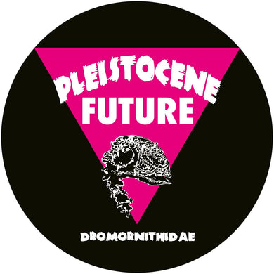 Dario Evangelista remix DJ Savage - Pleistocene Future - Pleistocene Future 4 [incl. DJ Savage Remix] - PF004 - 12