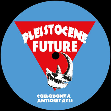 ARKVS - Pleistocene Future - Pleistocene Future 5 - PF005 - 12