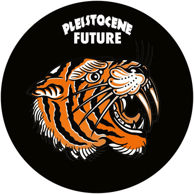 DJ Savage - Pleistocene Future 6 -  	Prosperidad  - PF006 - 12