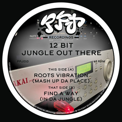 12 Bit Jungle Out There - Roots Vibration/Find Da Jungle EP - PPJ Recordings - 12