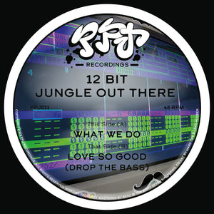 12 Bit Jungle Out There - What We Do/LoveSo Good EP - PPJ Recordings - 12" vinyl - PPJ011