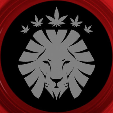 My Sound / Another Hit Song [transparent red vinyl]  - RASTA023V -Rasta Vibez - 12