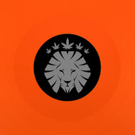 Rasta Vibez -So Mi Like It / Messed Up - RASTA024 - Orange 12