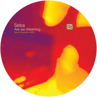 SebaStyle - Secret Operations - Are we dreaming? - SECOPS035 - 12