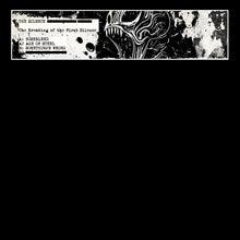 Load image into Gallery viewer, The Silence - Genosha - The Breaking of the First Silence - SILENCE001 - 12" Splatter Vinyl - Hardcore - Dutch Import
