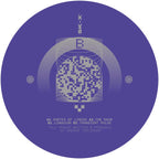 Yant - SK_Eleven - The Raum [label sleeve] - SK11X021 - 12" Vinyl - Techno
