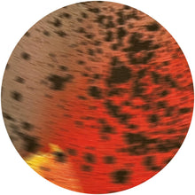Load image into Gallery viewer, Sciahri - Pareidolia III - Sublunar - SUBL020 - 12" Vinyl - Techno - Italian Import