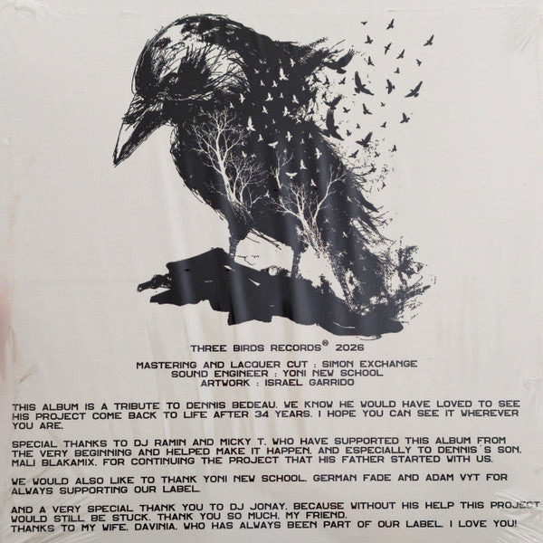 Kalaeidoscope featuring D.J. Ramin - The Out Of Control Remixes - THRB011 sleeve back