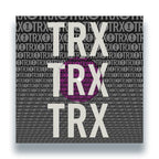 Toolroom Trax Sampler Vol. 6 - TRXVS006