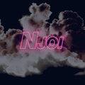 NJoi - Collected LP - Adrenaline/Kraken/Anthem/Techno Gangsters + more - Food Music - Triple LP - black vinyl - YUMNJ1