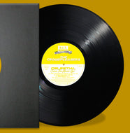 The Crowdpleasers – Celestial (Turn The Music Up)  - 25th Anniversary Mixes - B.I.T Productions - 12