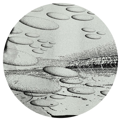 Liquid Silk - FR029 w/ Kloke, Tim Reaper & Dust-e-1 Remixes - Future Retro London - FR029 - 12