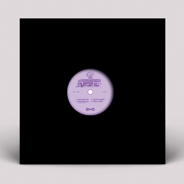 Guchon - FEELINGS WORLDWIDE - Raccoon Hill EP - FLING009 - 12