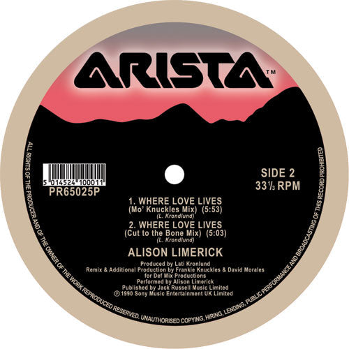 Alison Limerick - Where Love Lives - ARISTA RECORDS - PR65025P  - 12" vinyl