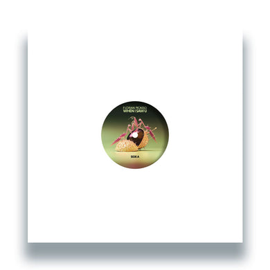 Florian Picasso - When I Saw U - Hot Meal Records - HOTMEAL020 - 12
