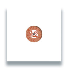 Load image into Gallery viewer, The Young Braves - Reach - Rhino Records - RHINE01 - House, Progressive House - 12" Vinyl
