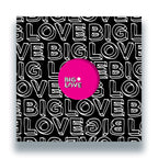 Seamus Haji, Shawn Christopher, Art of Tones, Yass - A Touch Of Love EP7 - Big Love - BL163V - 12" Vinyl - House, Nu Disco