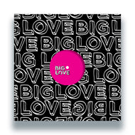 Seamus Haji, Shawn Christopher, Art of Tones, Yass - A Touch Of Love EP7 - Big Love - BL163V - 12