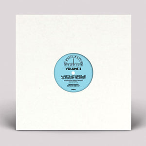 Tommy Musto - The Lost Dubs - Vol 2 - LOSTDUBS  - TMD02  - 12" Vinyl - Deep House / Garage