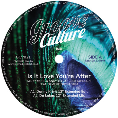 Micky More & Andy Tee Featuring Angela Johnson - Is It Love You’re After  -  GROOVE CULTURE  - 12