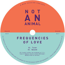 Load image into Gallery viewer, Frequencies Of Love - Frequencies Of Love EP - Not An Animal Records - NAAR021 - 12&quot; Vinyl - Electronica, Balearica