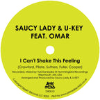 Saucy Lady & U-KEY - I Can’t Shake This Feeling - Dippin’ Records - DR0010 - 12" Vinyl - House, Nu Disco