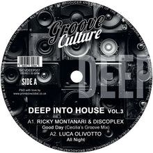 Load image into Gallery viewer, Ricky Montanari &amp; Discoplex - Deep Into House Vol.3 - Groove Culture Deep - GCVDEEP007 - 12&quot; Vinyl - House, Deep House