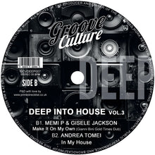 Load image into Gallery viewer, Ricky Montanari &amp; Discoplex - Deep Into House Vol.3 - Groove Culture Deep - GCVDEEP007 - 12&quot; Vinyl - House, Deep House