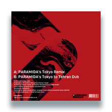 Load image into Gallery viewer, Deep Dish - Say Hello - PARAMIDA Remixes - Armada Music - ARMA492R - 12" Vinyl - House