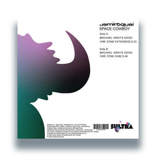 Load image into Gallery viewer, Jamiroquai - Space Cowboy (Michael Gray Mixes)   - SULTRA RECORDS - 12&quot; Vinyl - SL132 - House