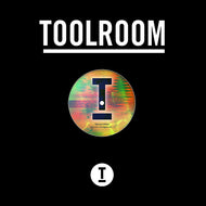 Kurd Maverick vs Adeva - In & Out My Life / Friend Within - Monkey Bars - Toolroom Sampler Vol. 3 - TOOL1133 - TOOLROOM RECORDS - 12
