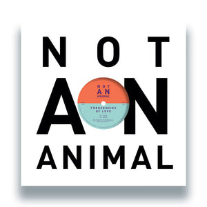 Frequencies Of Love - Frequencies Of Love EP - Not An Animal Records - NAAR021 - 12" Vinyl - Electronica, Balearica