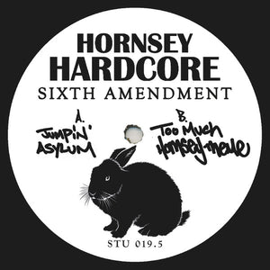 Hornsey Hardcore - Sixth Amendment - Hornsey Hardcore - STU019.5