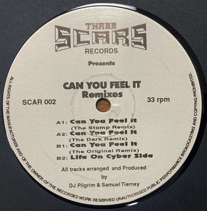 DJ Pilgrim & Sammy – Can You Feel It (Remixes) -  Three Scars Records - 12" Vinyl