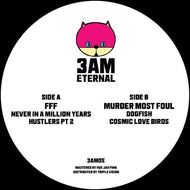 FFF / Murder Most Foul - Like Never Before - 3AM Eternal - 3AM05 - 12